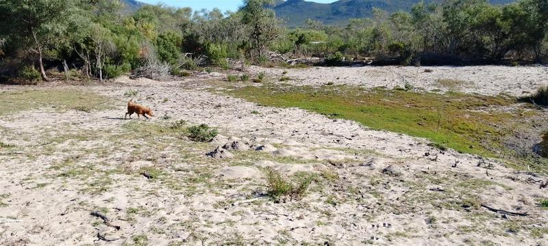 0 Bedroom Property for Sale in Gouritsmond Western Cape